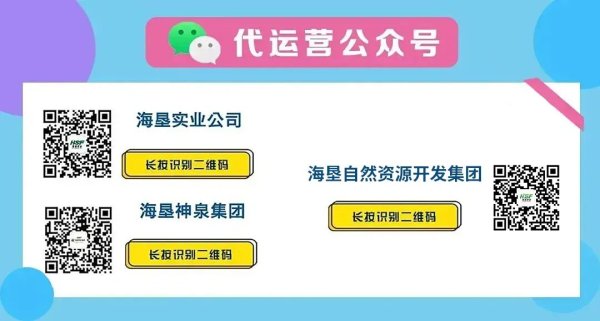 聚焦全国两会 | 海南代表团以代表团名义向大会提交10件议案11件建议