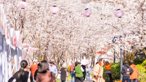 当170天假期散布全年，旅游“旺季病”能治好吗？｜文旅观察