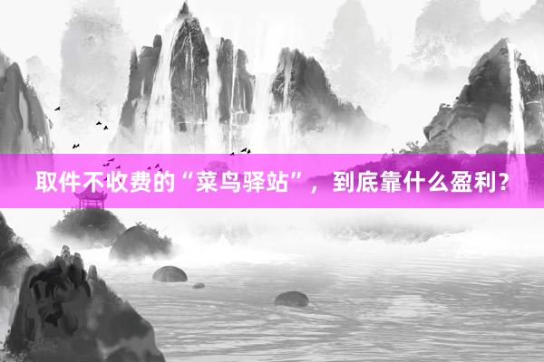 取件不收费的“菜鸟驿站”，到底靠什么盈利？