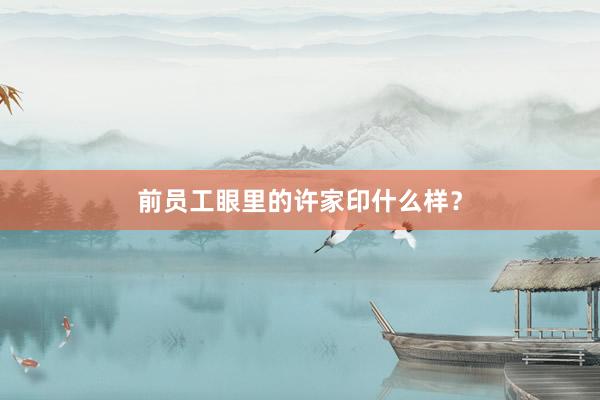 前员工眼里的许家印什么样？