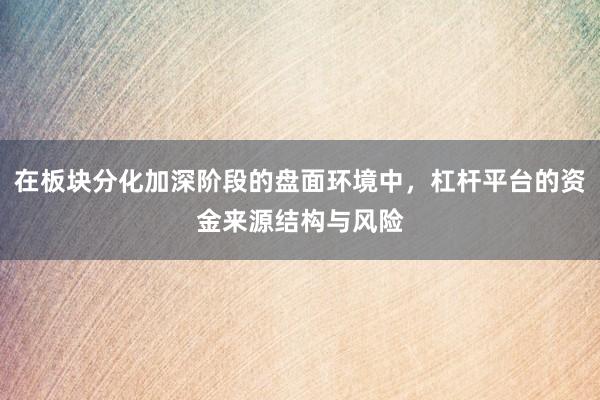 在板块分化加深阶段的盘面环境中，杠杆平台的资金来源结构与风险