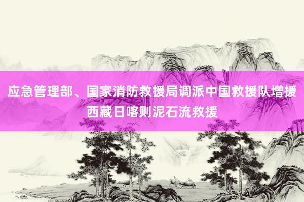 应急管理部、国家消防救援局调派中国救援队增援西藏日喀则泥石流救援