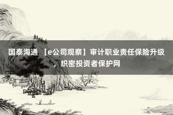 国泰海通 【e公司观察】审计职业责任保险升级，织密投资者保护网