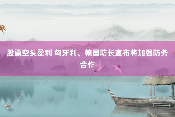 股票空头盈利 匈牙利、德国防长宣布将加强防务合作