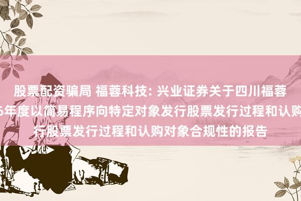 股票配资骗局 福蓉科技: 兴业证券关于四川福蓉科技股份公司2026年度以简易程序向特定对象发行股票发行过程和认购对象合规性的报告