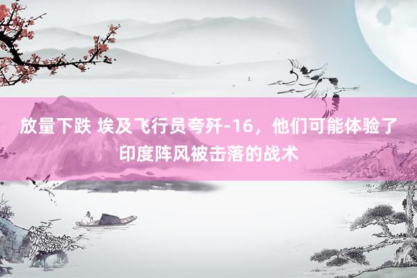 放量下跌 埃及飞行员夸歼-16，他们可能体验了印度阵风被击落的战术