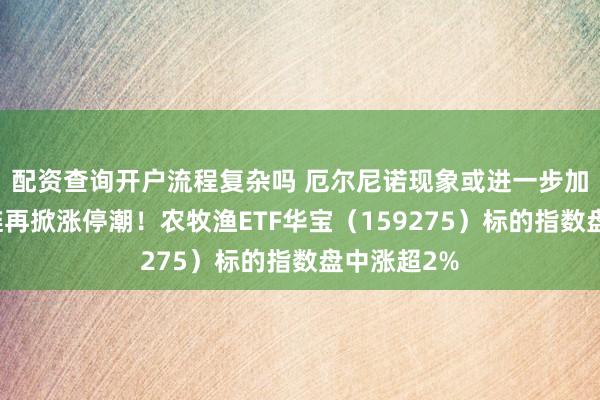 配资查询开户流程复杂吗 厄尔尼诺现象或进一步加剧，种植链再掀涨停潮！农牧渔ETF华宝（159275）标的指数盘中涨超2%