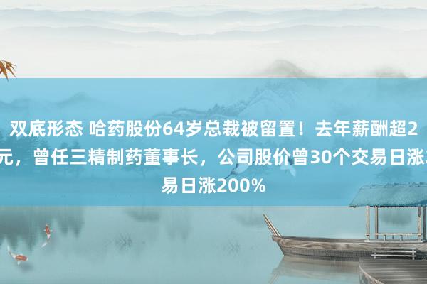 双底形态 哈药股份64岁总裁被留置！去年薪酬超296万元，曾任三精制药董事长，公司股价曾30个交易日涨200%