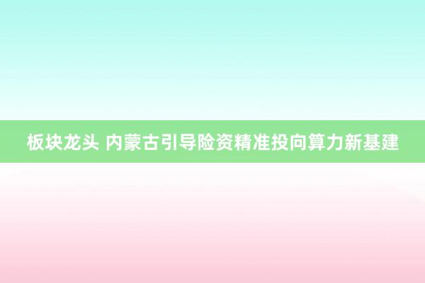 板块龙头 内蒙古引导险资精准投向算力新基建