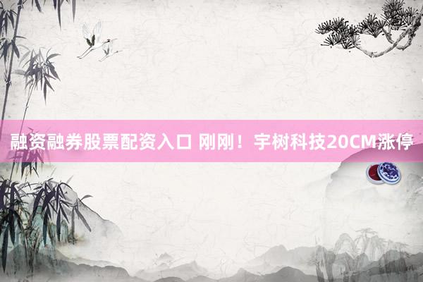 融资融券股票配资入口 刚刚！宇树科技20CM涨停